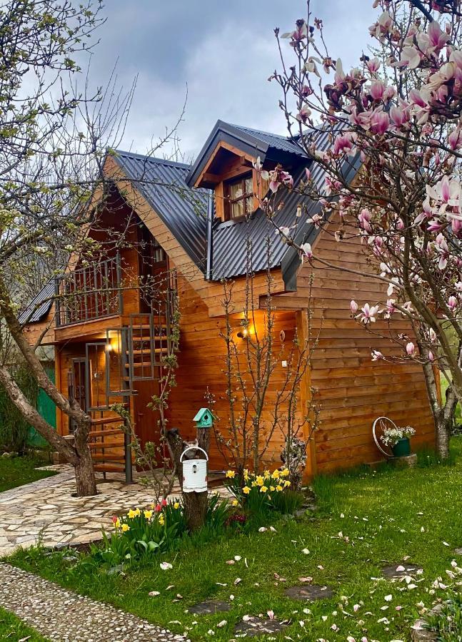 Blue Village 8 Колашин Екстер'єр фото